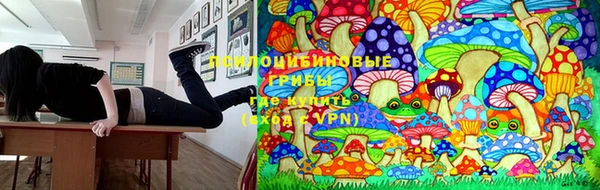 дурь Верхний Тагил