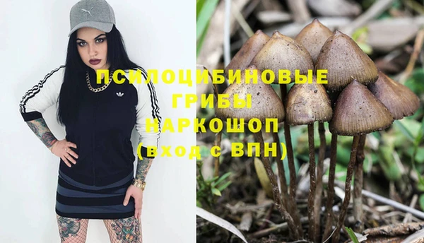 а пвп мука Володарск