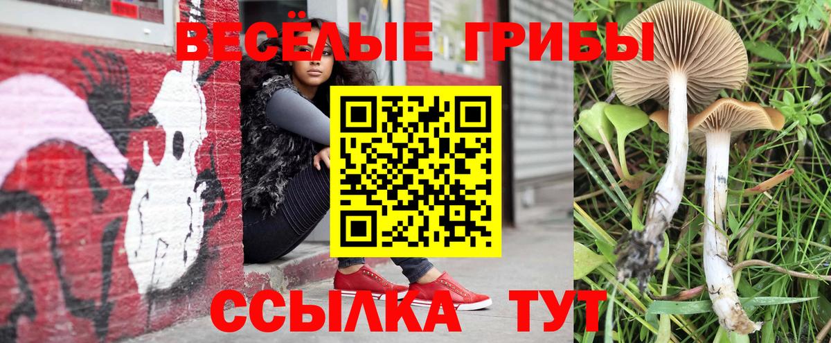 Псилоцибиновые грибы мицелий  Вход с VPN  Северобайкальск 