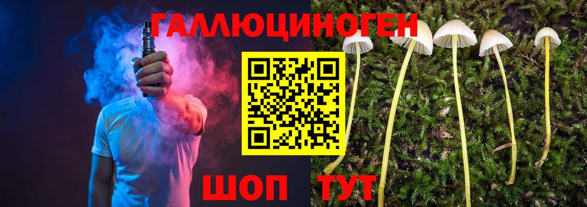 Галлюциногенные грибы прущие грибы Северобайкальск